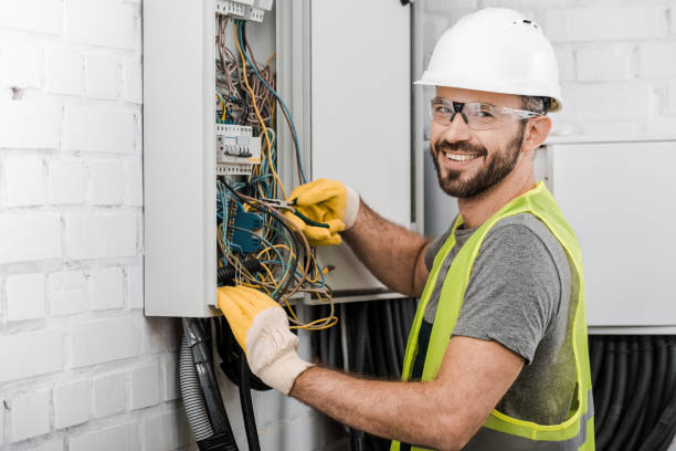 Best Electric Panel Repair  in Cortland West, NY